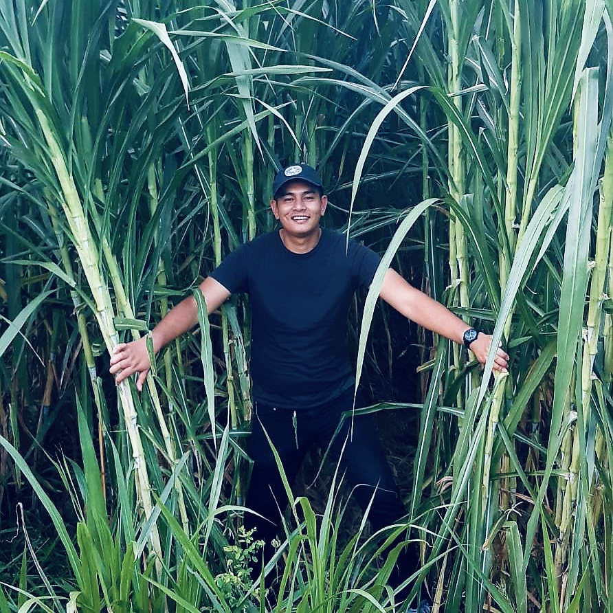 Napier Grass Farm