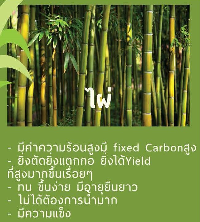 ทนทานเหมือนไผ่
