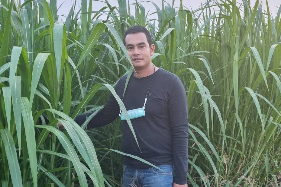โครงการเพชรบุรี